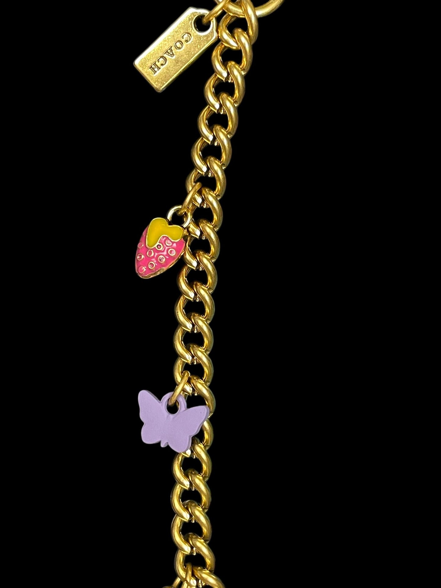 Cadena Charm para Bolso