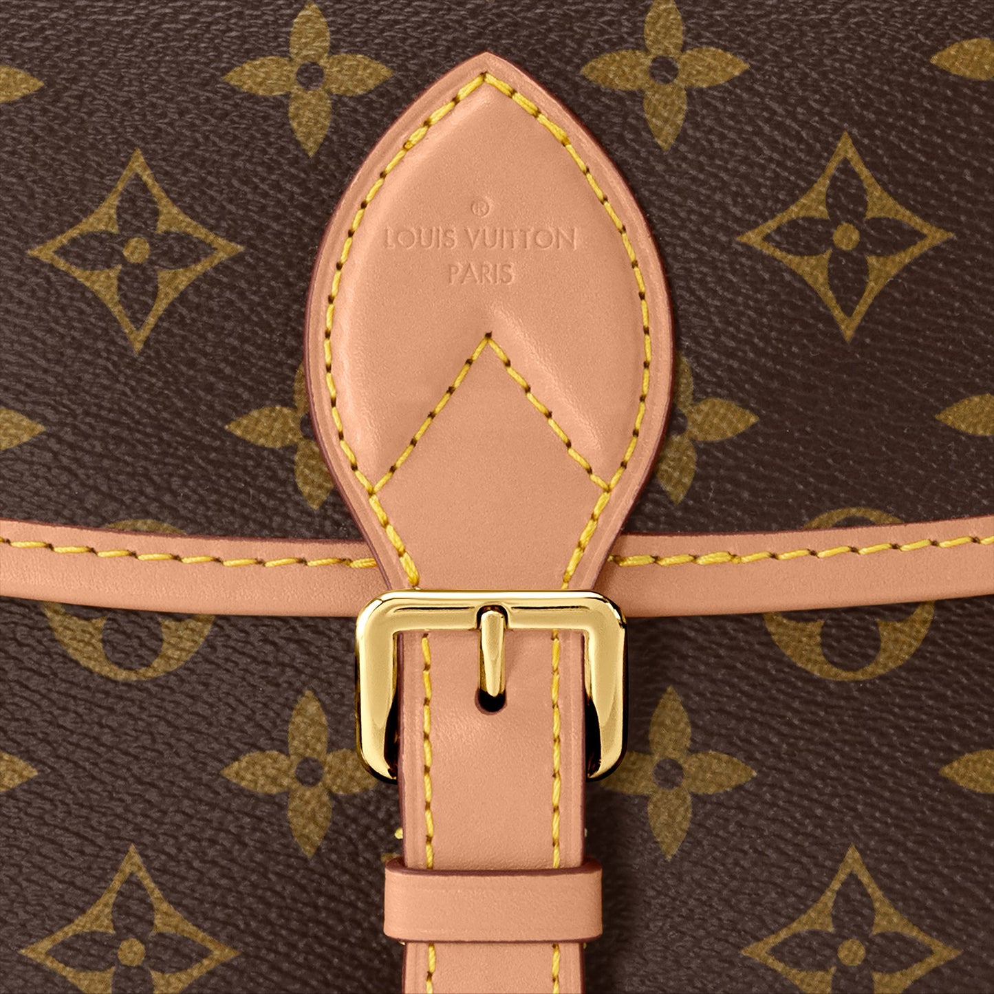 LOUIS VUITTON - DIANE MONOGRAM